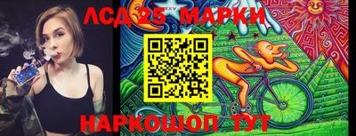 гидропоника Новодвинск